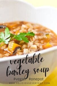 Vegetable and Barley Soup