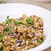 Mushroom Risoniotto - orzo risotto