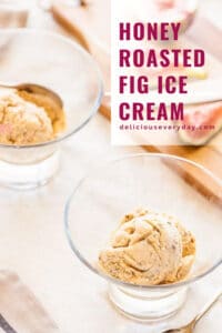 Honey Roasted Fig Ice Cream