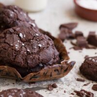 Vegan Chocolate Cookies with Dark Chocolate Chips