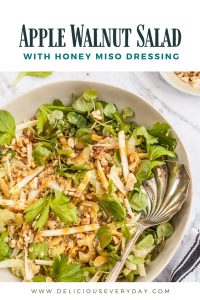Celery and Apple Walnut Salad with Honey Miso Dressing