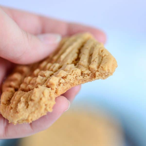 vegan peanut butter cookie in hand with bite taken out of it