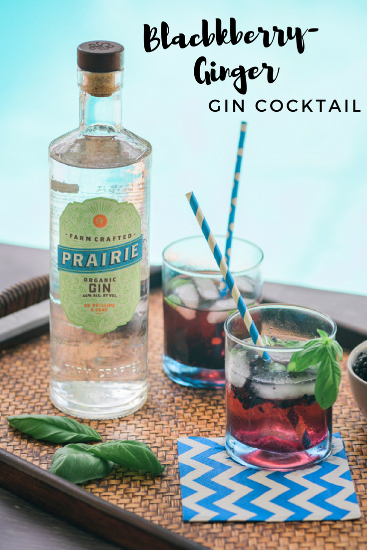 blackberry-ginger gin cocktail: easy summer drink