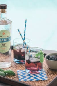 Blackberry-Ginger Gin Cocktail