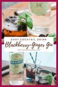 Blackberry-Ginger Gin Cocktail