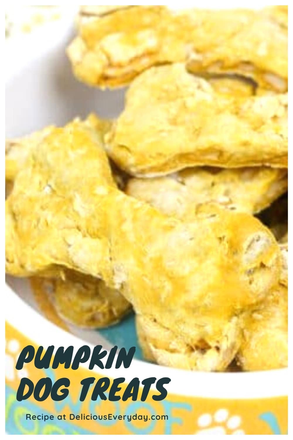 Pumpkin Dog Treats The Easiest Homemade Dog Treats 🐕