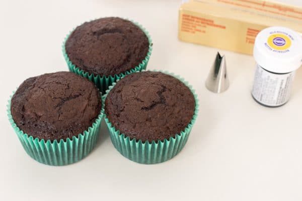 chocolate cupcakes in green cupcake liners