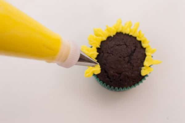 piping tips of petals for Sunflower cupcakes
