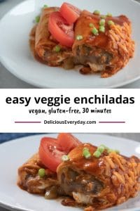 Easy Veggie Enchiladas Vegan, Gluten Free in 30 Minutes
