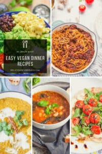 collection of easy vegan dinner recipes