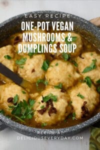 One-Pot Vegan Dumplings – Mushrooms Dumplings Soup