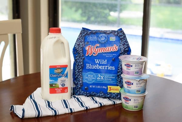 ingredients for blueberry lemon yogurt cake on a sunny table