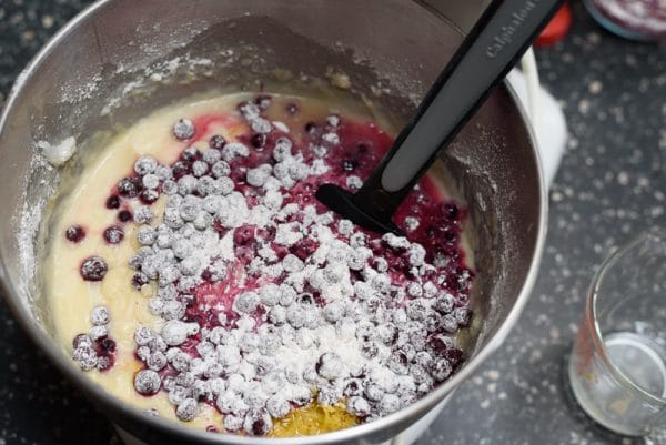 adding blueberries to the cake batter