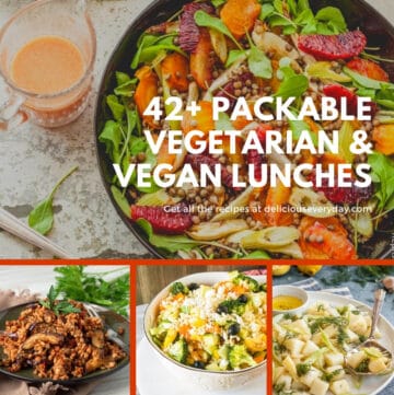 packable vegetarian and vegan lunches