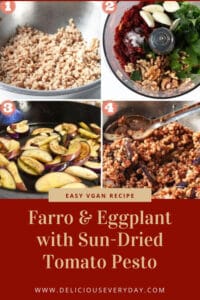 Farro and Eggplant with Sun-Dried Tomato Pesto