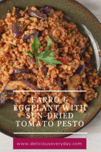 Farro and Eggplant with Sun-Dried Tomato Pesto