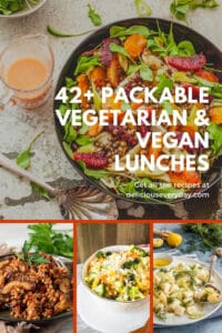 packable vegetarian and vegan lunches