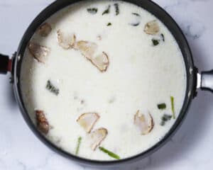 tom kha gai a spicy and sour hot soup