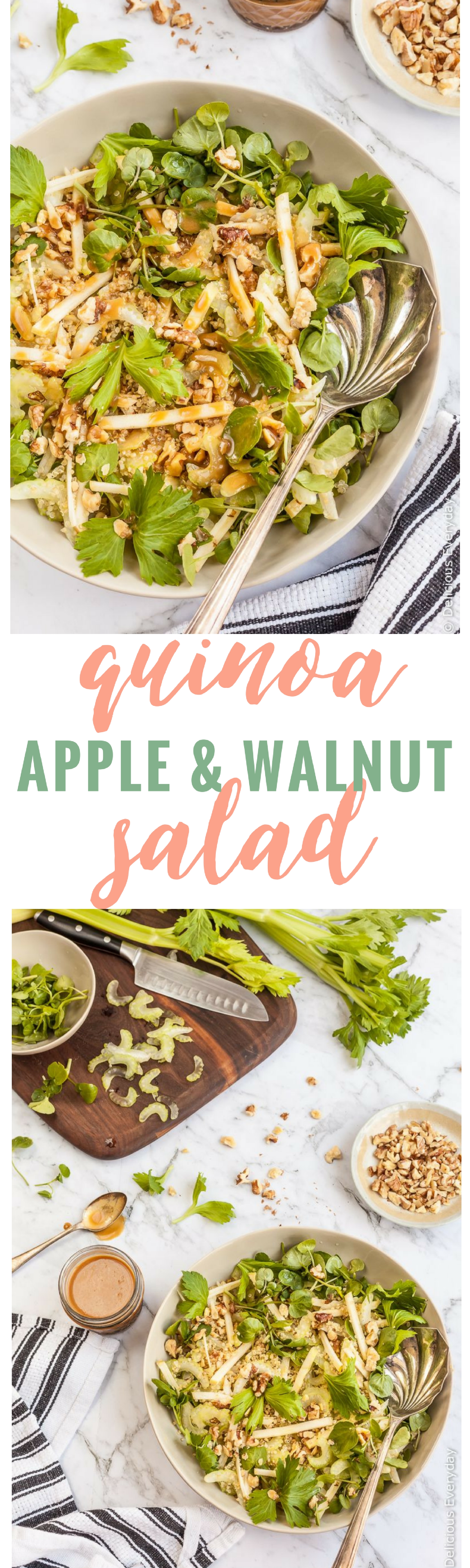 Apple Walnut Salad Recipe - This vegetarian & gluten free Apple Walnut Salad is a great sweet-salty and crunchy salad. Makes a wonderful side dish or a delicious healthy light lunch